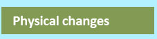 Physical changes in adolescent boys